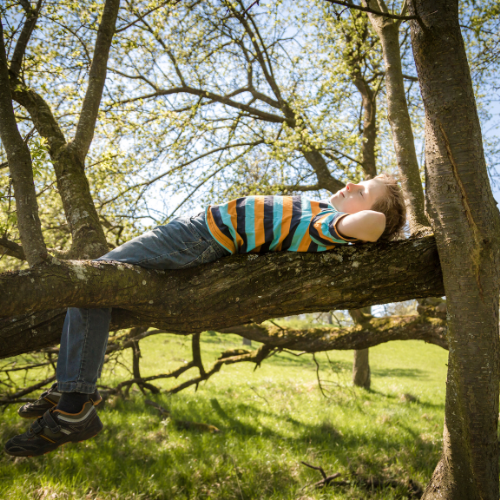 Un enfant portant une chemise rayée et un jean est confortablement allongé sur une grosse branche d'arbre, se détendant avec les mains derrière la tête dans une zone ensoleillée et herbeuse.